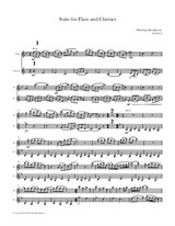Suite for Flute and Clarinet